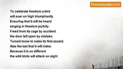 ivor or ivor.e hogg - Free Flight  for Friend Thad