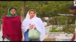 Shaher e Tamana Episode 74 Full Drama On HUM SITARAY TV Drama 