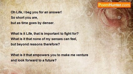 Florida Angel - What Is It Life?