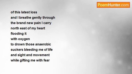 Midnight Clarity - Today