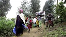 Situation calms after fighting on DR Congo-Rwanda border