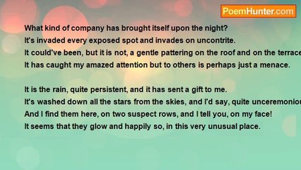 Maureen Kesner - Rain On The Terrace