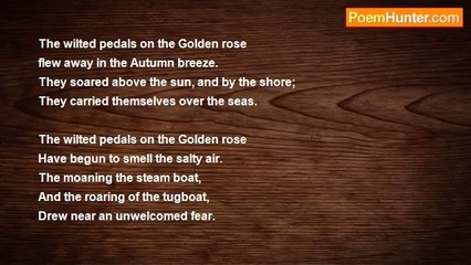 Charles Andres Alberto - Golden Rose