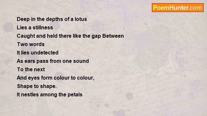 Elinor Auerbach - Stillness