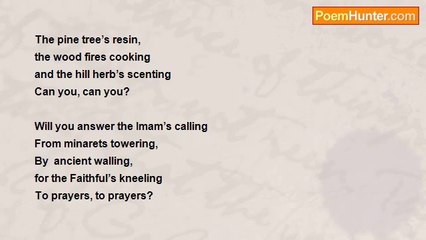 Sailing to windward - The Cicadas of Selimiye