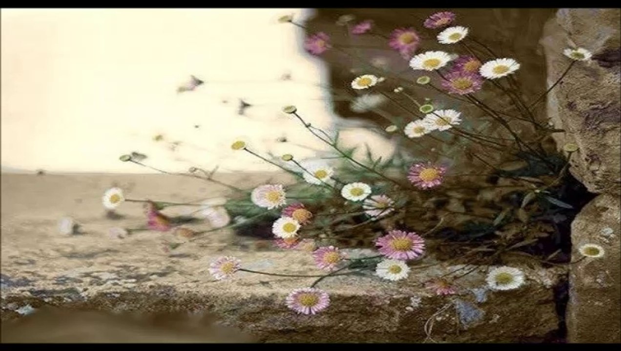 Can Dündar & Aşkın Nur Yengi - YaLancı Bahar..