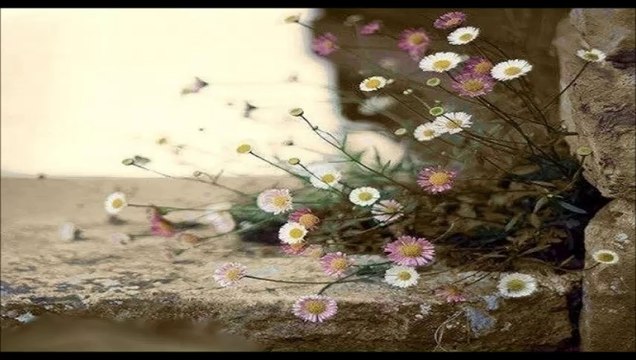 Can Dündar & Aşkın Nur Yengi - YaLancı Bahar..