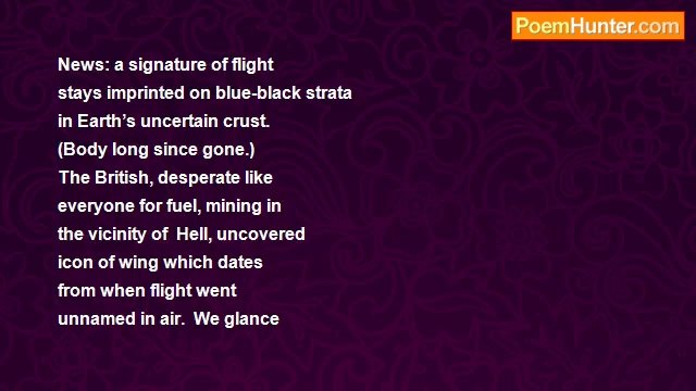 Hans Ostrom - Fossil of a Wing