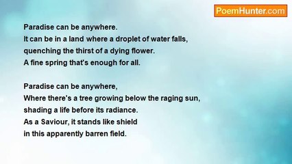 kite remedy - Paradise