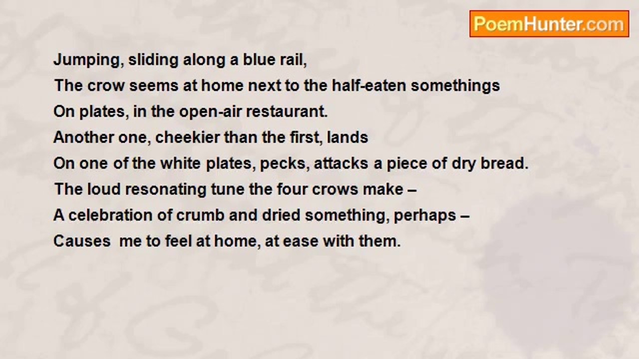 Mark Pollins - Counting Crows