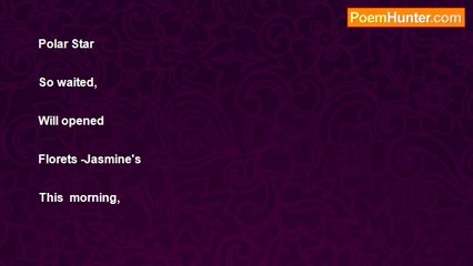 Tsira Gogeshvili - Polar Star   *