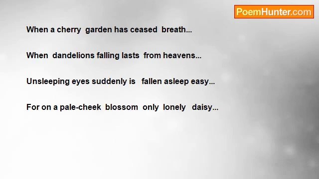 Tsira Gogeshvili - A Daisy