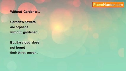 Tsira Gogeshvili - Without  Gardener