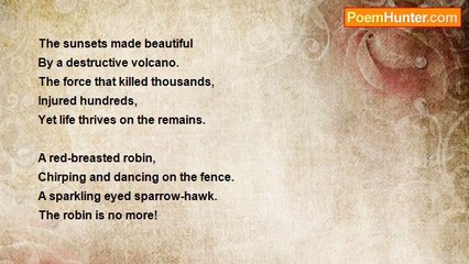 Thistle Wargul - Is There A Point?