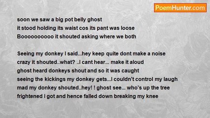 Sebastine Humaemo - Mad...both me and my donkey.......