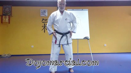 Los 5 elementos o las 10 direcciones (karatedo) - The 5 elements and the 10 directions (karate)