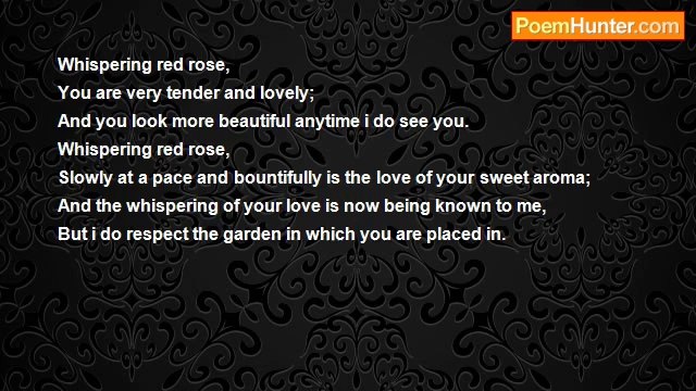 Edward Kofi Louis - Whispering Red Rose