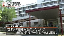 14 06 16 AK NW9　理研　小保方　STAP細胞　山梨大学　若山教授　世界３大不正研究　解析結果STAP細胞存在否定　遺伝子不一致　ＥＳ細胞