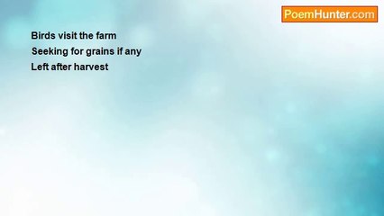 Jyoti Sunit Chaudhary - Haiku: Birds Visit Farm