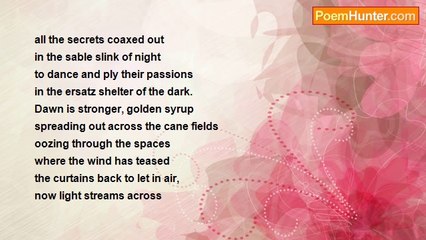 Midnight Clarity - Sunday Morning November 11th