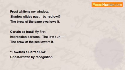 David Floren - Slow Recognition