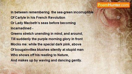 Daniel Trevelyn Joseph - Colors to Notice