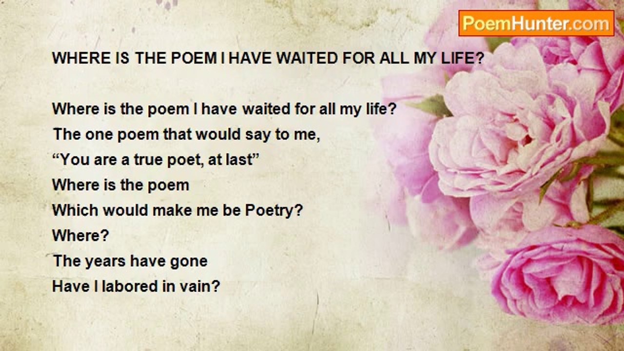 Shalom Freedman - Where Is The Poem I Have Waited For All My Life?