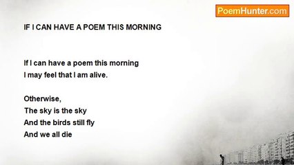 Shalom Freedman - If I Can Have A Poem This Morning