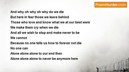 Shalom Freedman - The Poem Then At The End Of The End