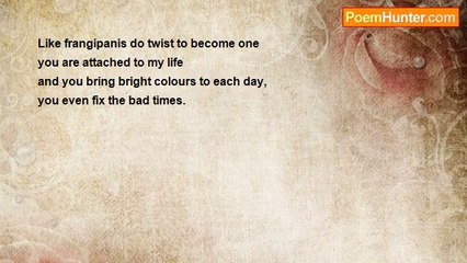 Gert Strydom - Like Frangipanis