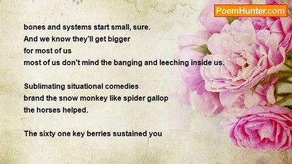 Aaron Eliad - [bones and systems start small, sure]