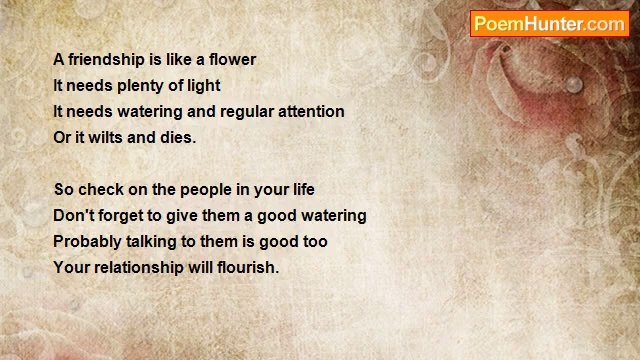 Craig Anderson - Friendship and Flowers