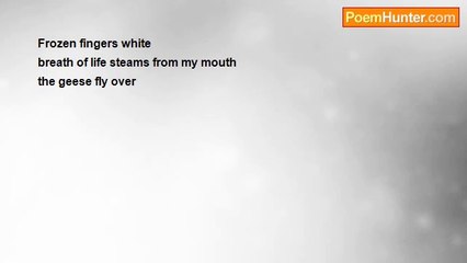 Margaret Ann Newcomb - Winter haiku