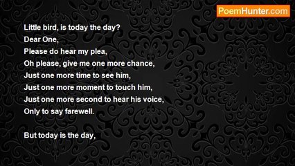 Lily Law - Little Bird