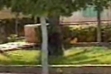 فيلا مفروشة للايجار فى الساحل الشمالى