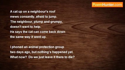Robert Melliard - A Stray