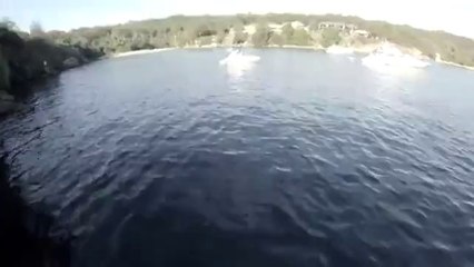 Guy dives into Sydney harbor, ends up almost on top of a Great White Shark