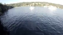 Guy dives into Sydney harbor, ends up almost on top of a Great White Shark