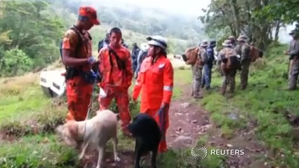 Bag found in missing tourist search