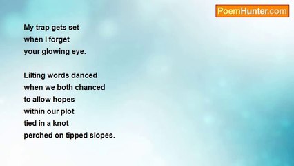 John Weber - Tributaries