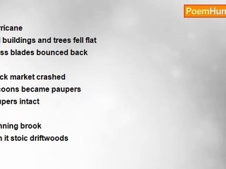 sathya narayana - HAIKU  8