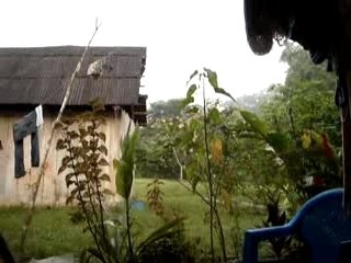 7 jours ds la jungle! 6h du mat! Ecoutez