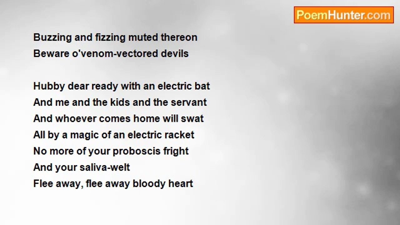 Indira Renganathan - The Bewildered