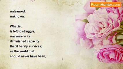 Carolyn Brunelle - Vacancy