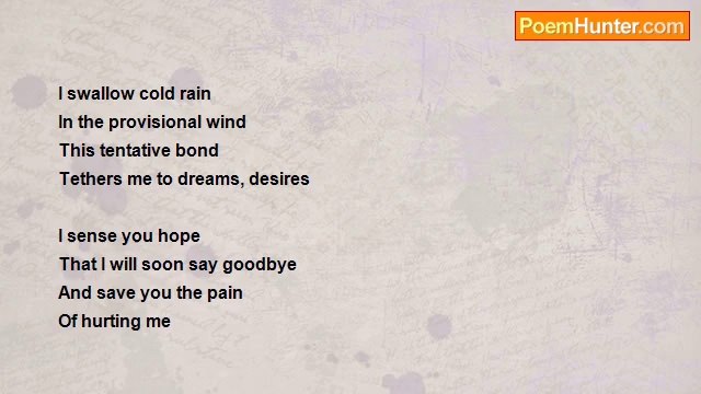 Barbara Villabol - Overcast Skies Veil the Sun