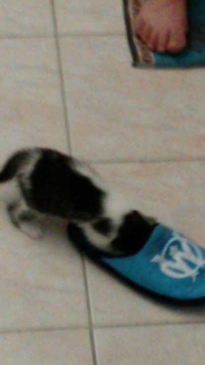 molly et le chausson