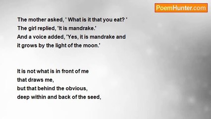 Maria J. Andrade - Mandrake Dream