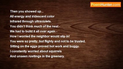 William L Roberts - A bird sings in the tree across the lawn