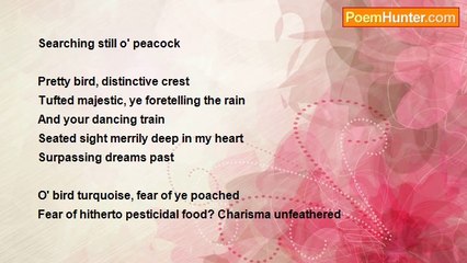 Indira Renganathan - O' Peacock