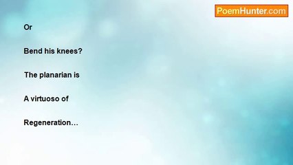 M.L. Squier - THE PLANARIAN